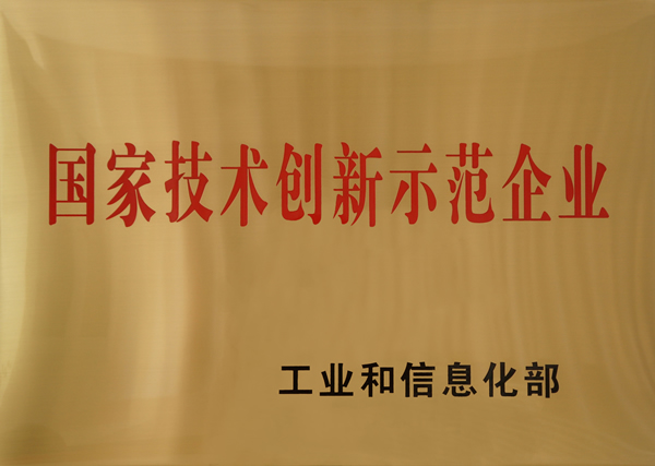 國家技術創新示范企業