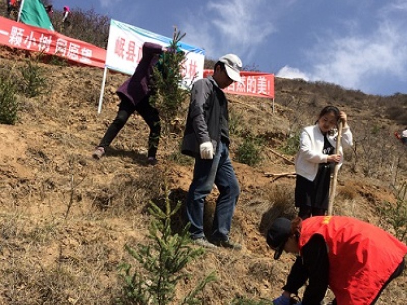 定西蘭生單采血漿公司岷縣漿站開展&ldquo;愛心林&rdquo;植樹活動(dòng)